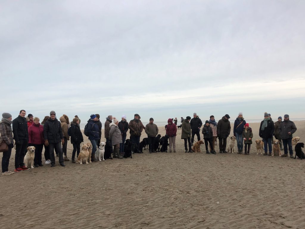 Kerstuitwaaiwandeling